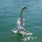 Haus Am Hang * Innerschwand