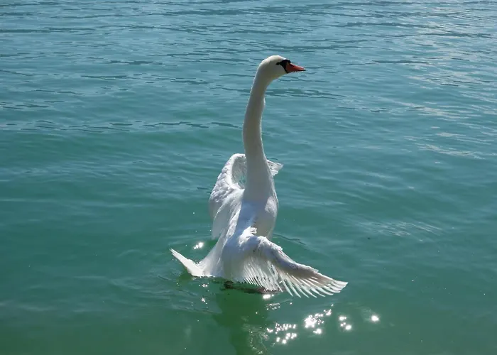 Haus Am Hang * Innerschwand